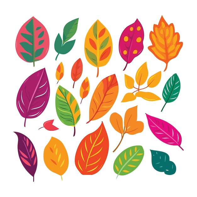 Colorful plant leaves vector illustration isolated on white