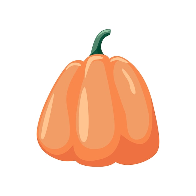 Colorful pumpkin over white background vector illustration. Halloween sumbol