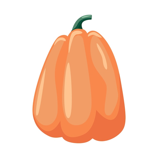 Colorful pumpkin over white background vector illustration. Halloween sumbol