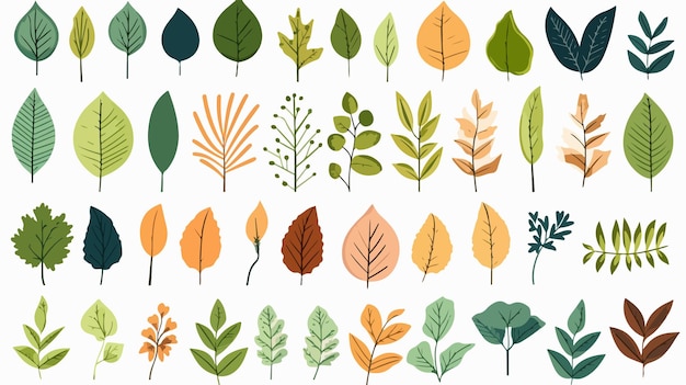 Vector colorful retro leaf collection cartoon vector illustration