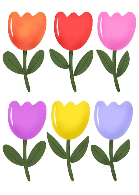 a colorful set of tulips with a yellow purple and green leaves