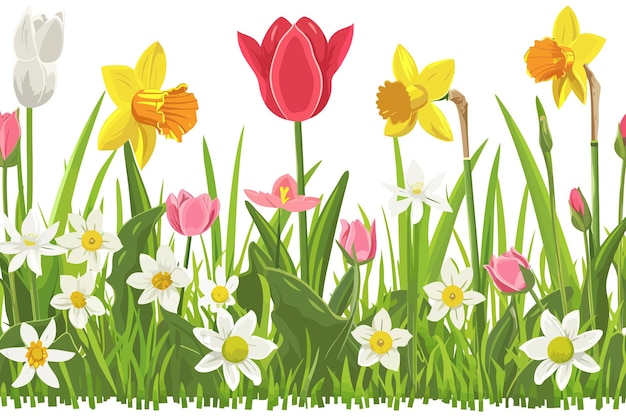 Colorful Spring Flowers in Bloom Vector illustration design