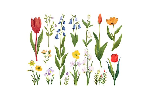 Colorful Spring Flowers Botanical Vector illustration design