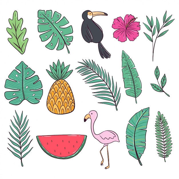 Colorful summer collection with flamingo, watermelon, floral, and pineapple with doodle style