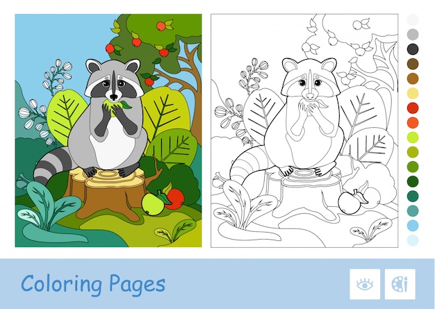 Colorful template and colorless contour image of a raccoon eating an apple in a wood. Wild animals preschool kids coloring book  illustrations and developmental activity.