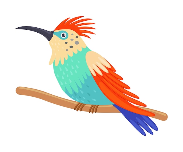 Colorful tropical hummingbird beautiful bird with bright plumage vector illustration