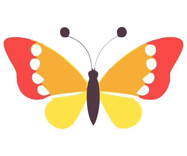 Colorful vector illustration of the butterfly