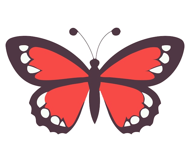 Colorful vector illustration of the butterfly