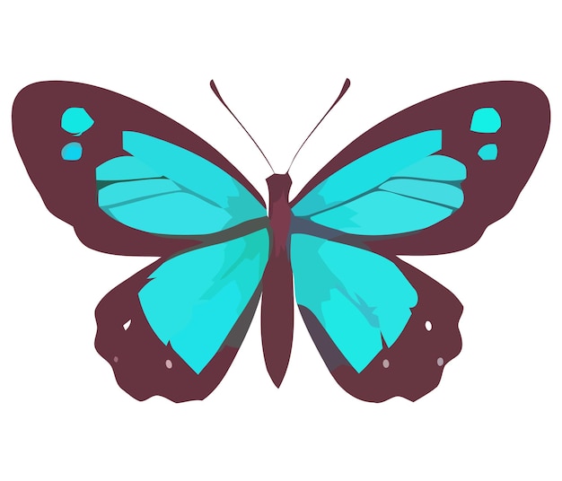 Colorful vector illustration of the butterfly