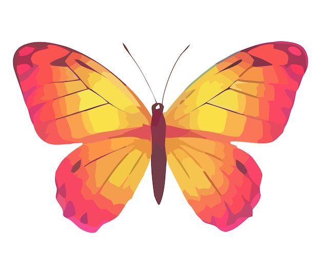 Colorful vector illustration of the butterfly