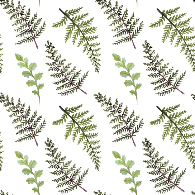 Colorful watercolor Seamless pattern with beautiful fern leaves Summer background