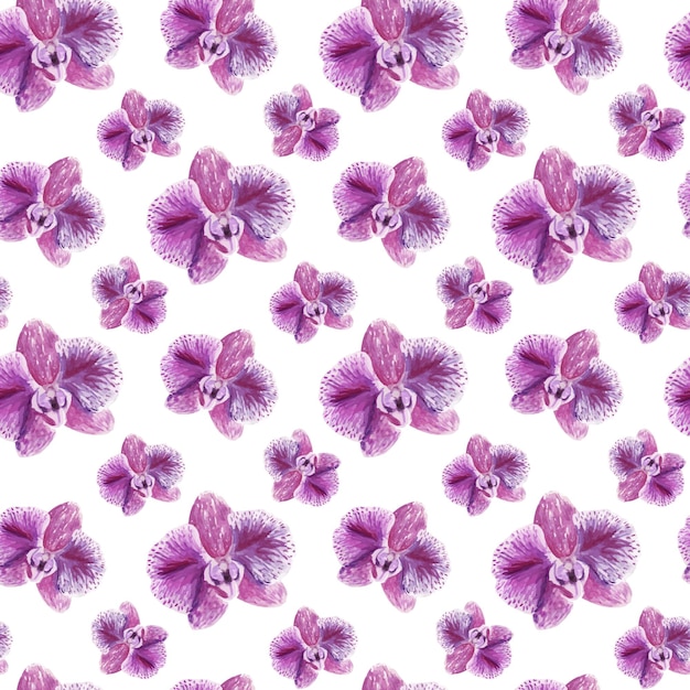 Colorful watercolor Seamless pattern with beautiful orchid flowers Summer background wallpaper