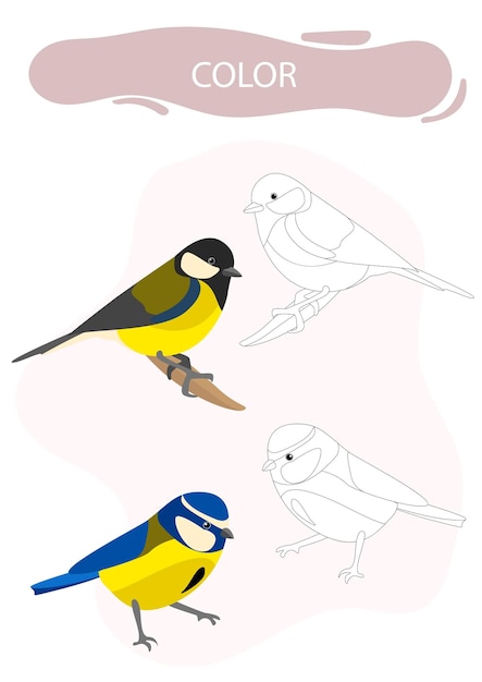 Coloring animals and birds as in example task for children