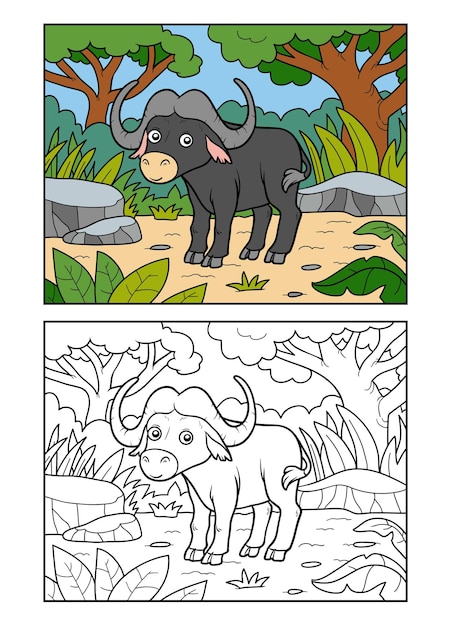 Coloring book Buffalo in the African savannah