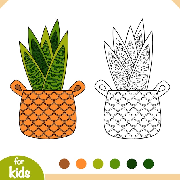 Coloring book Cartoon collection of Houseplants Snake plant