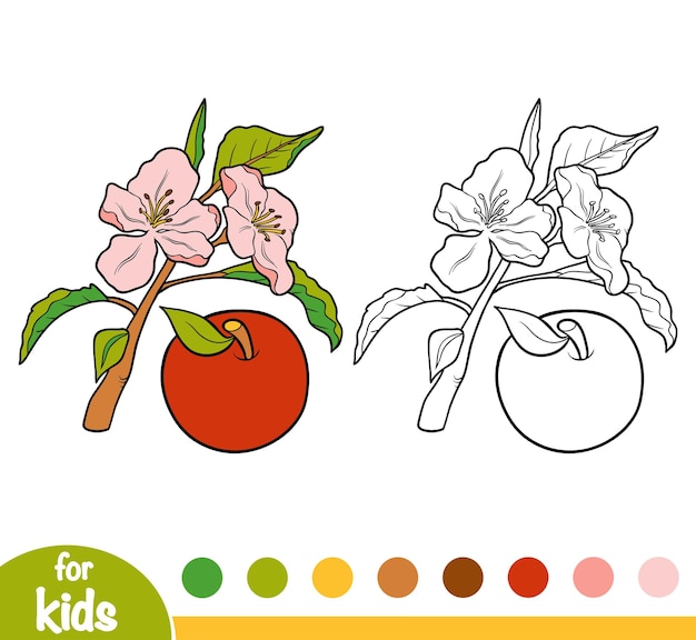 Coloring book for children, Apple tree branch