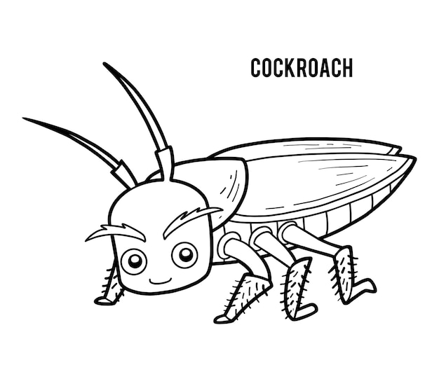 Coloring book for children Cockroach