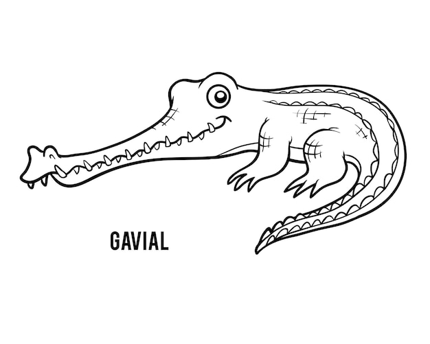 Coloring book for children, crocodile Gavial