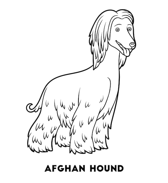 Coloring book for children Dog breeds Afghan hound