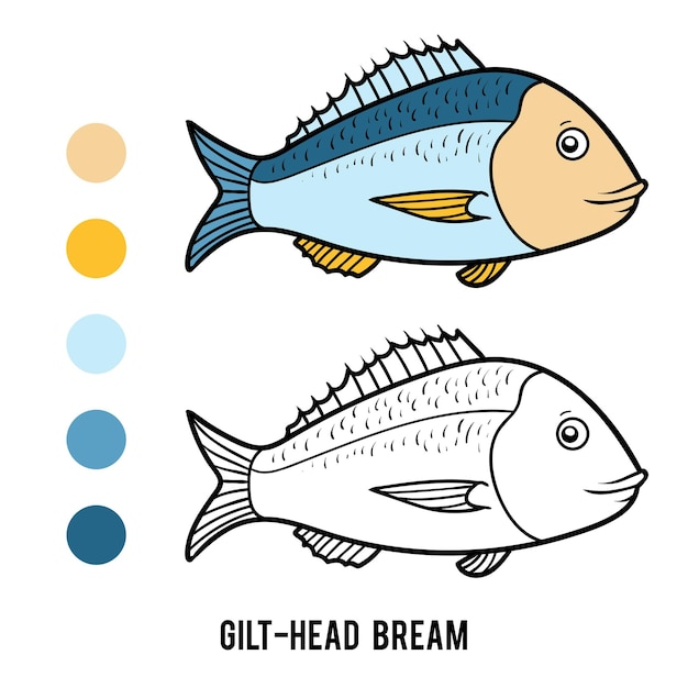 Vector coloring book for children gilthead bream