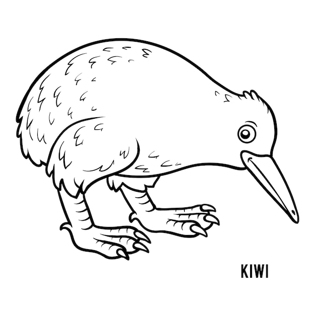 Coloring book for children, Kiwi