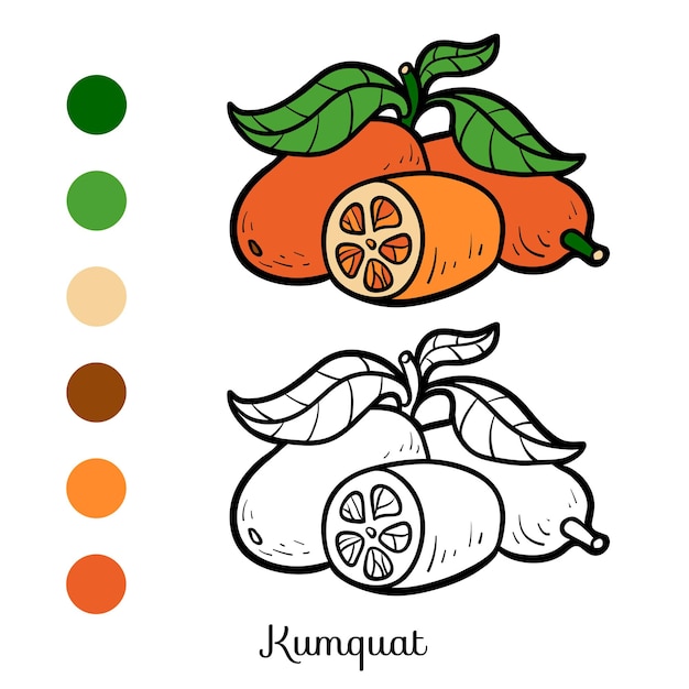 Coloring book for children, Kumquat