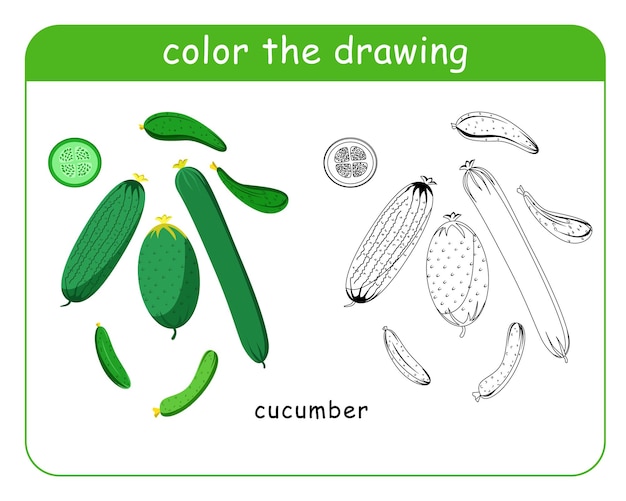 Coloring book for children A set of green cucumbers in color and black and white