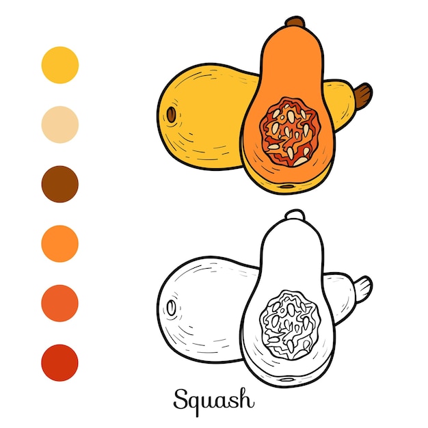 Coloring book for children, Squash