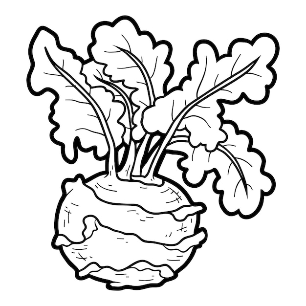 Coloring book for children, vegetables, Kohlrabi