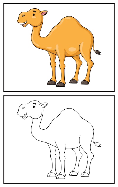 coloring book cute camel