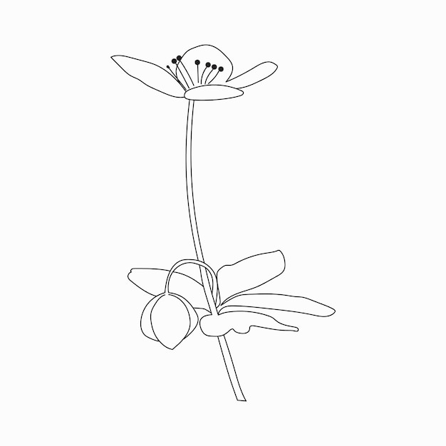 Coloring book Hand drawn Black and white children Flowers