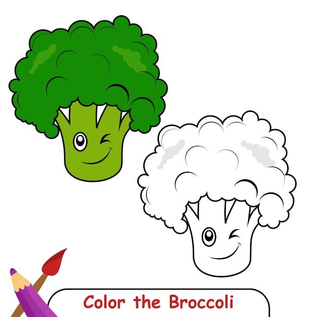 Coloring book for kids, Broccoli Vector Graphics