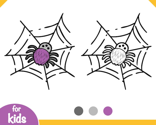 Coloring book for kids Spider and web