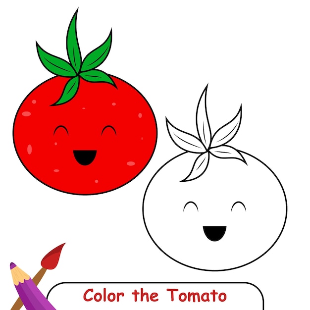 Coloring book for kids, Tomato Vector Graphics