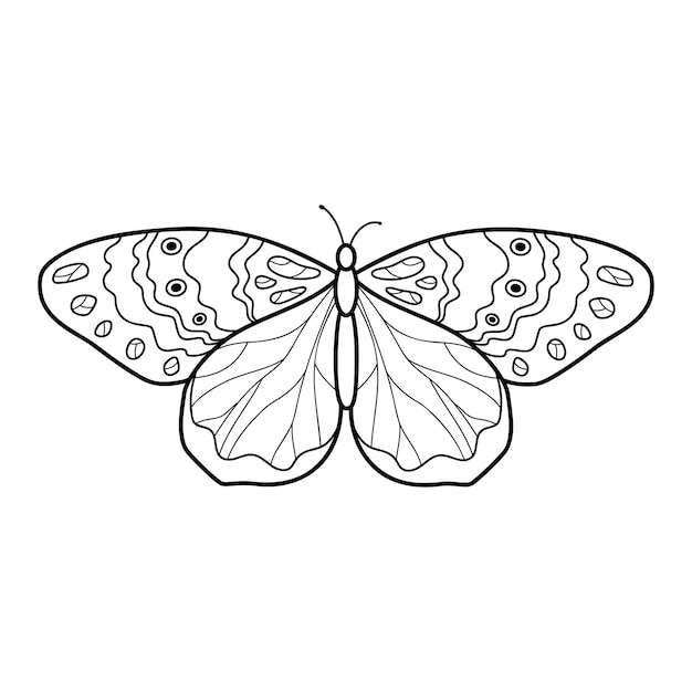 Coloring book or page for kids. Butterfly black and white vector