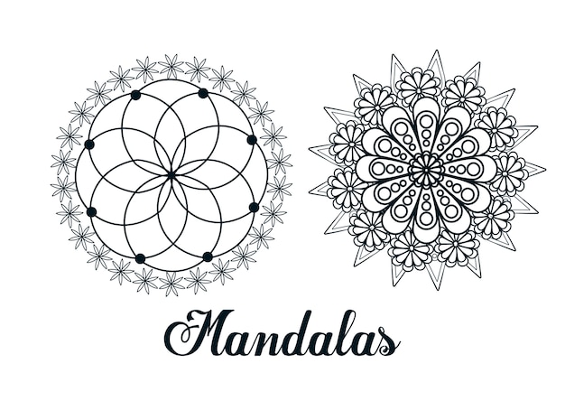 coloring flower shape mandala icon image 