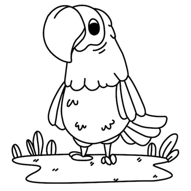 Coloring page alphabets animal cartoon cockatoo