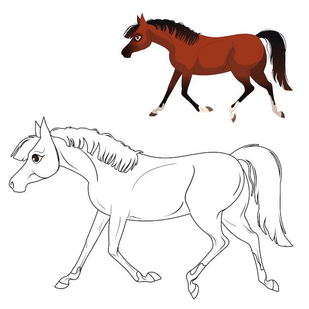 Coloring page for children with horse. With a hint