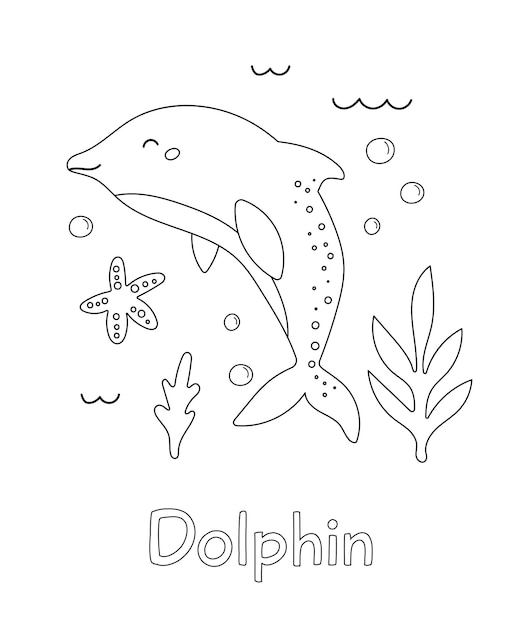 Coloring page with cute cartoon dolphin starfish corals and seaweeds Learn english vocabulary words Sea and ocean animals Black and white outline illustration