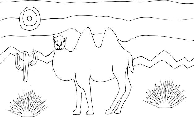 Coloring page with desert cactus plants and cute camel Coloring book for children and adults