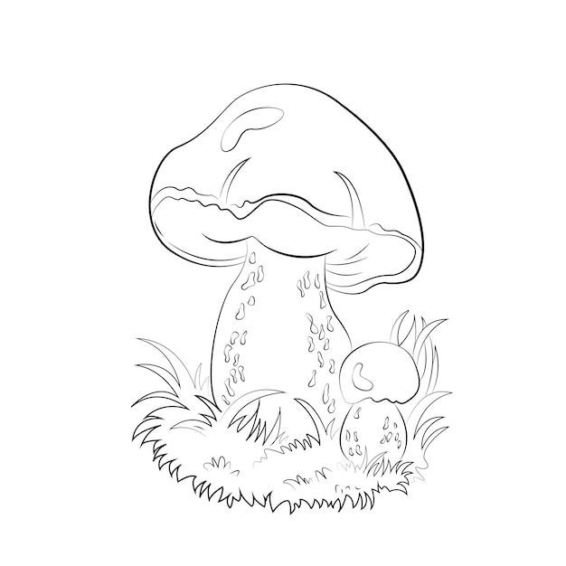 coloring pages mushrooms