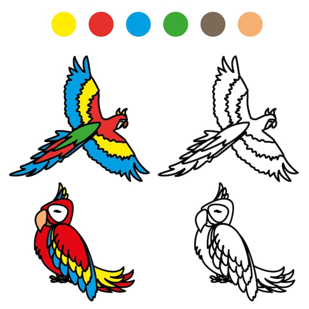 coloring picture of funny parrot vector illustration