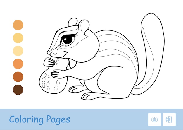 Colorless contour image of a chipmunk gnawing a nut isolated on white Wild animals preschool kids coloring book illustrations and developmental activity