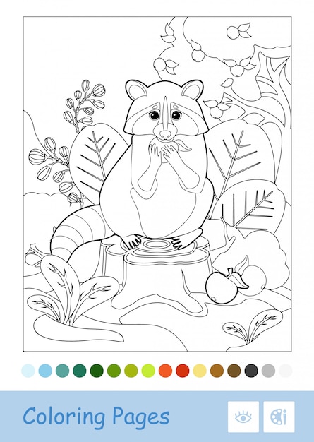 Colorless  contour image of a raccoon sitting on a stump and eating an apple isolated on white background. Wild animals preschool kids coloring book illustrations and developmental activity.