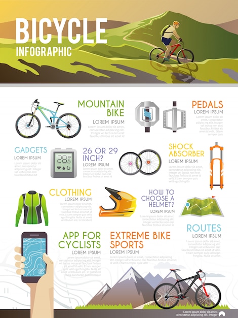 Colourful bicycle vector infographic.