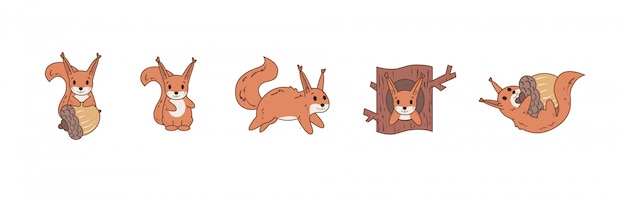 Colourful comic squirrel playing with nut and jumping. Set of icons.