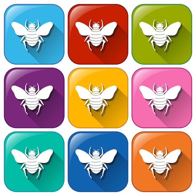 Colourful rounded buttons with insects