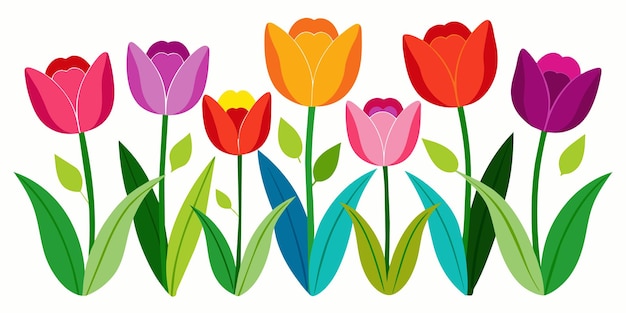 Vector colourful tulips isolated on white background