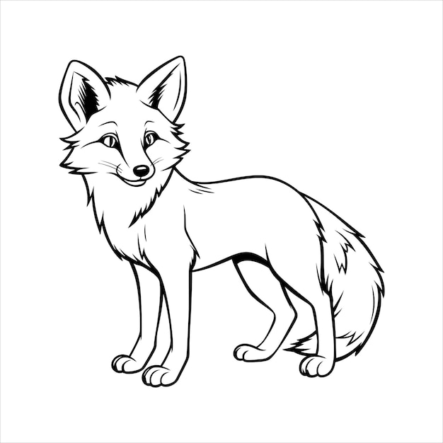 Vector colouring pages for kids