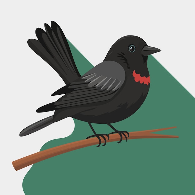 Vector common blackbird is a species of true thrush it is also called eurasian blackbird scientific name turdus merula cartoon flat style character of ornithology vector illustration isolated on white